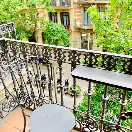 Casa David Penzion *